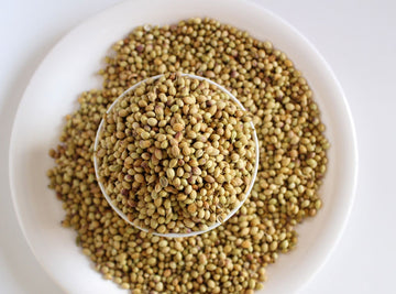 Coriander