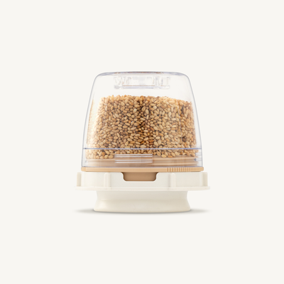 Sesame Pod
