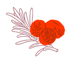 Spice Icon