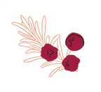 Spice Icon